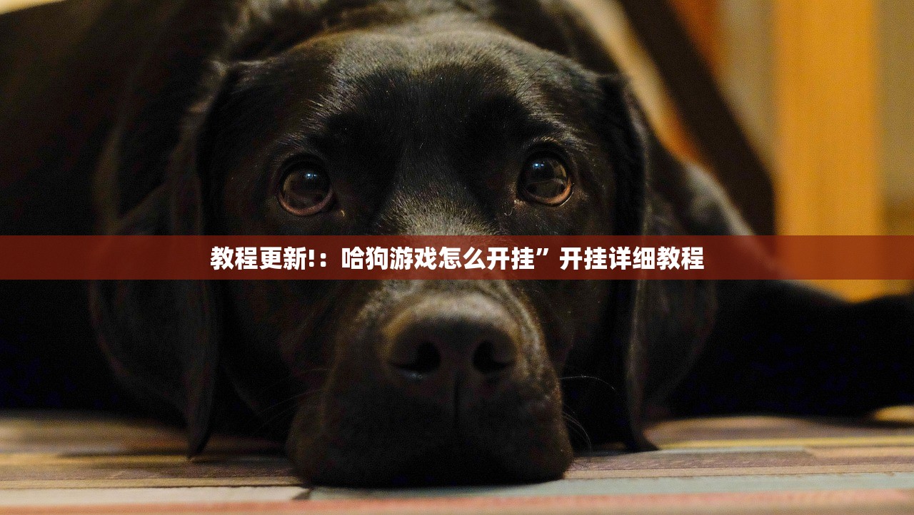 变速箱油更换的好处/变速箱油该换了会出现什么症状
