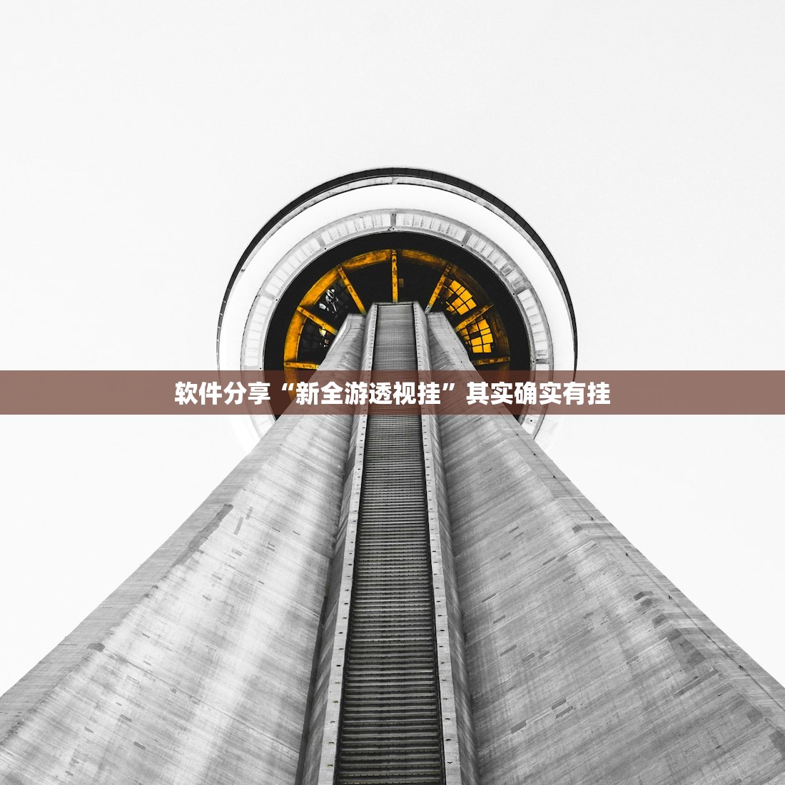 上海新增/上海新增中本贯通