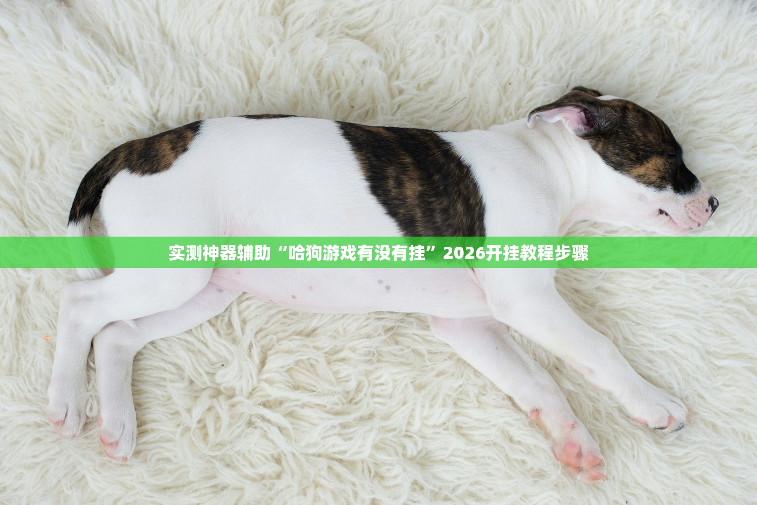 实测神器辅助“哈狗游戏有没有挂	”2026开挂教程步骤