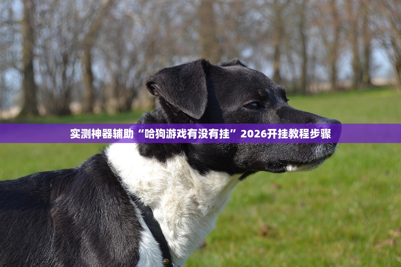 实测神器辅助“哈狗游戏有没有挂	”2026开挂教程步骤