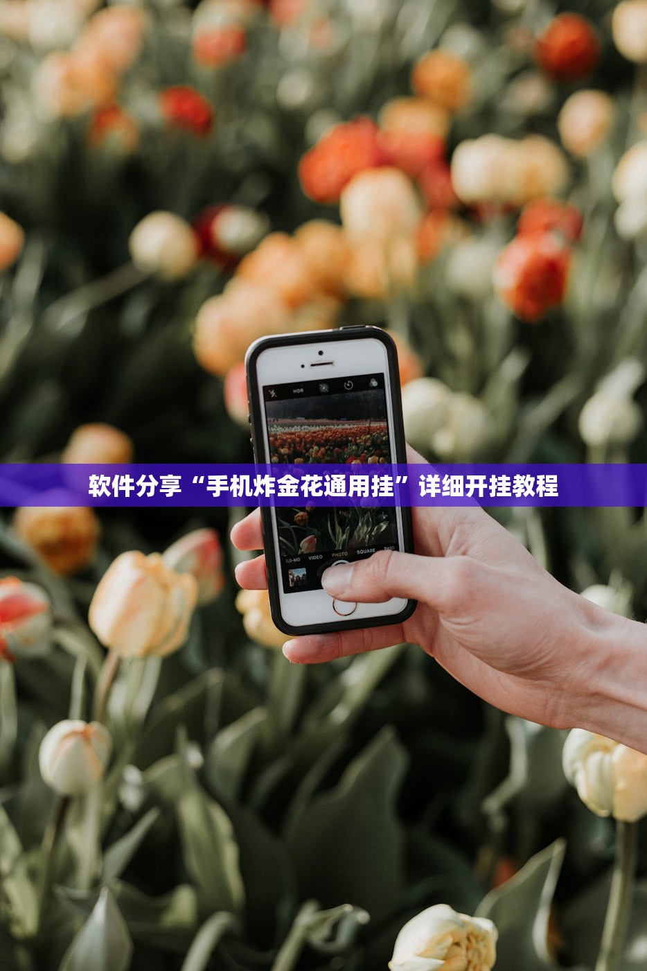 软件分享“手机炸金花通用挂”详细开挂教程