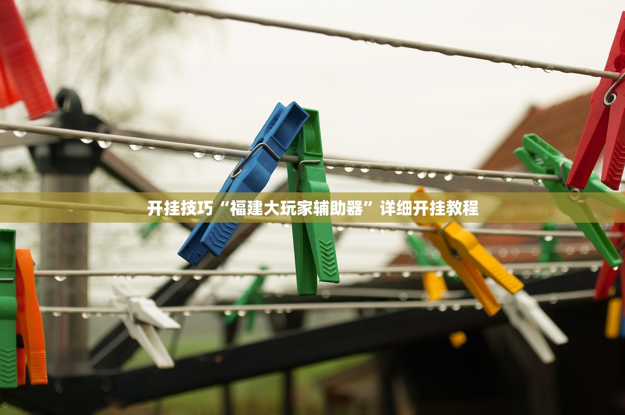 开挂技巧“福建大玩家辅助器”详细开挂教程