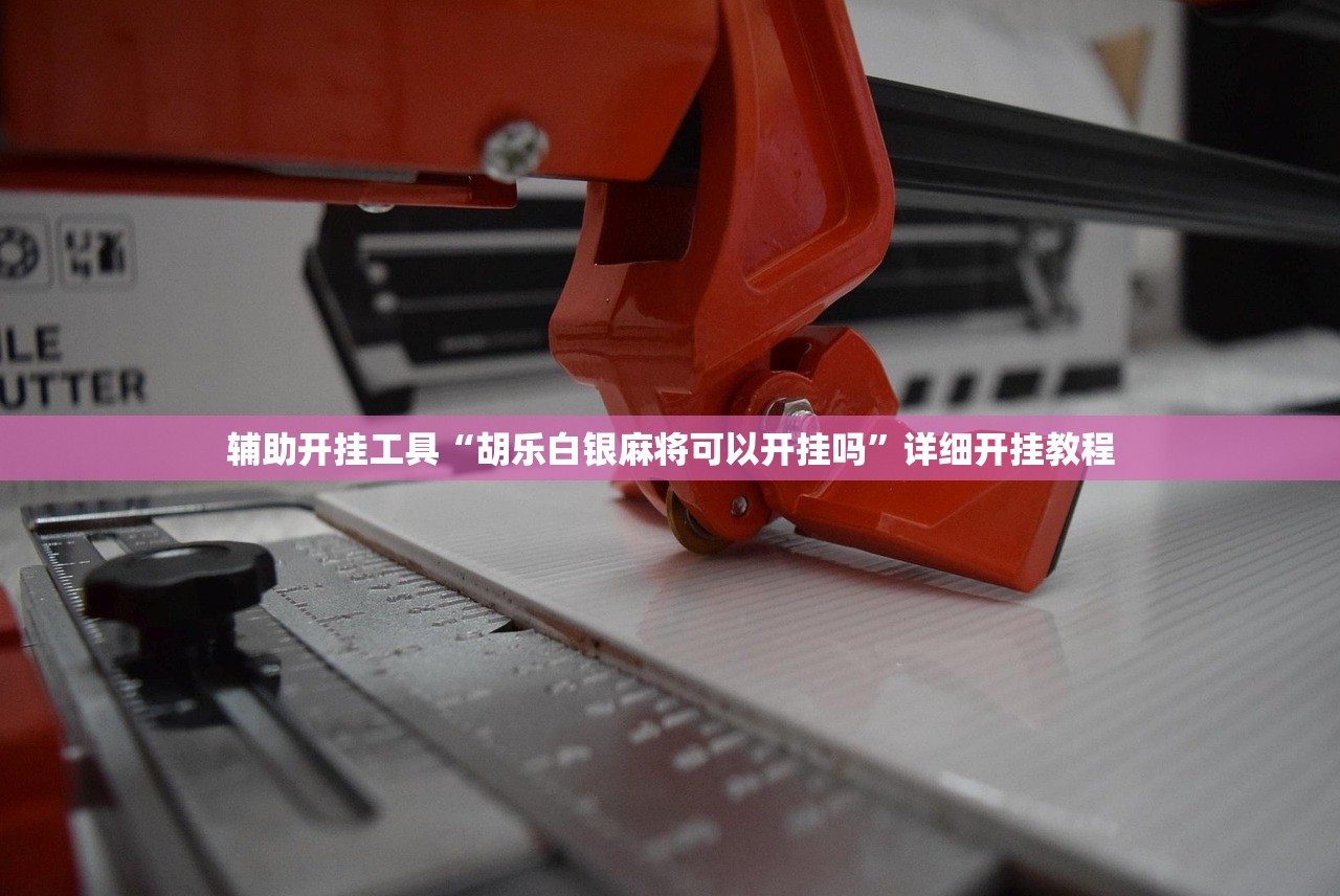 助赢神器“新猴王大厅透视辅助工具(透视)”开挂辅助脚本+详细开挂安装教程