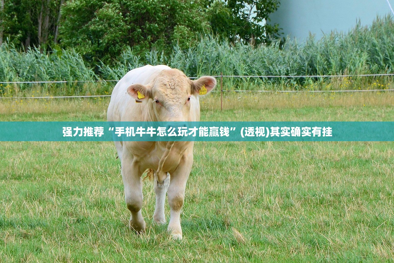 强力推荐“手机牛牛怎么玩才能赢钱”(透视)其实确实有挂