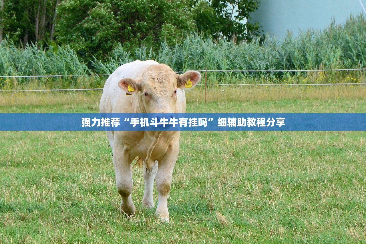 强力推荐“手机斗牛牛有挂吗	”细辅助教程分享