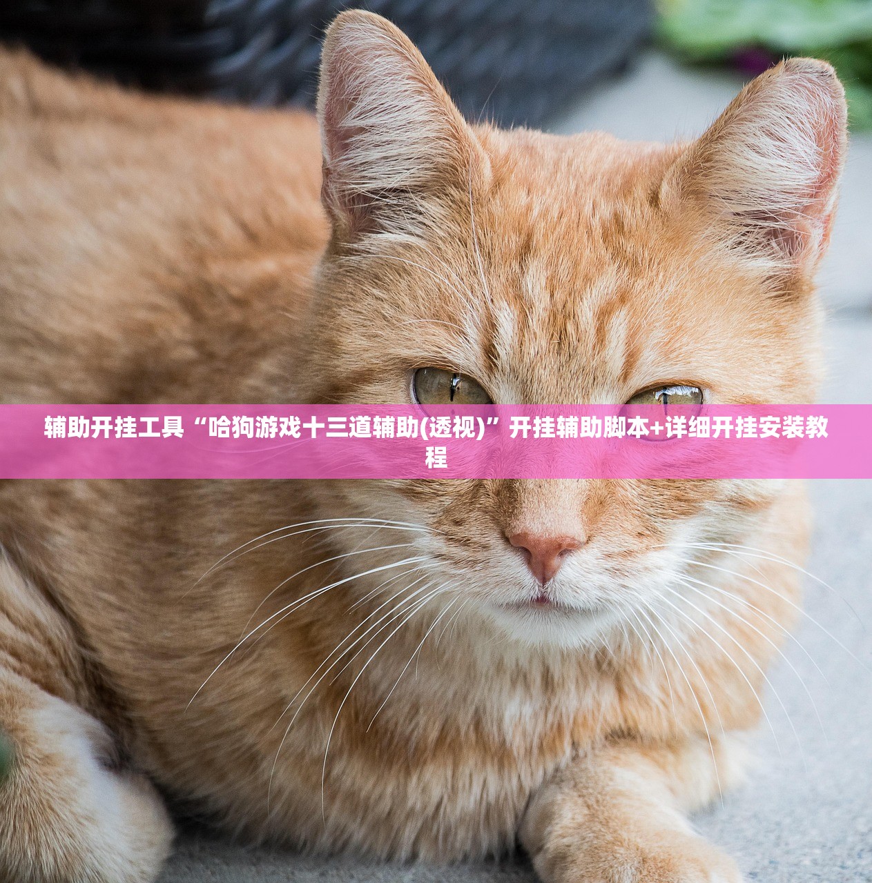 31省区市新增7例（31省区市新增12例）