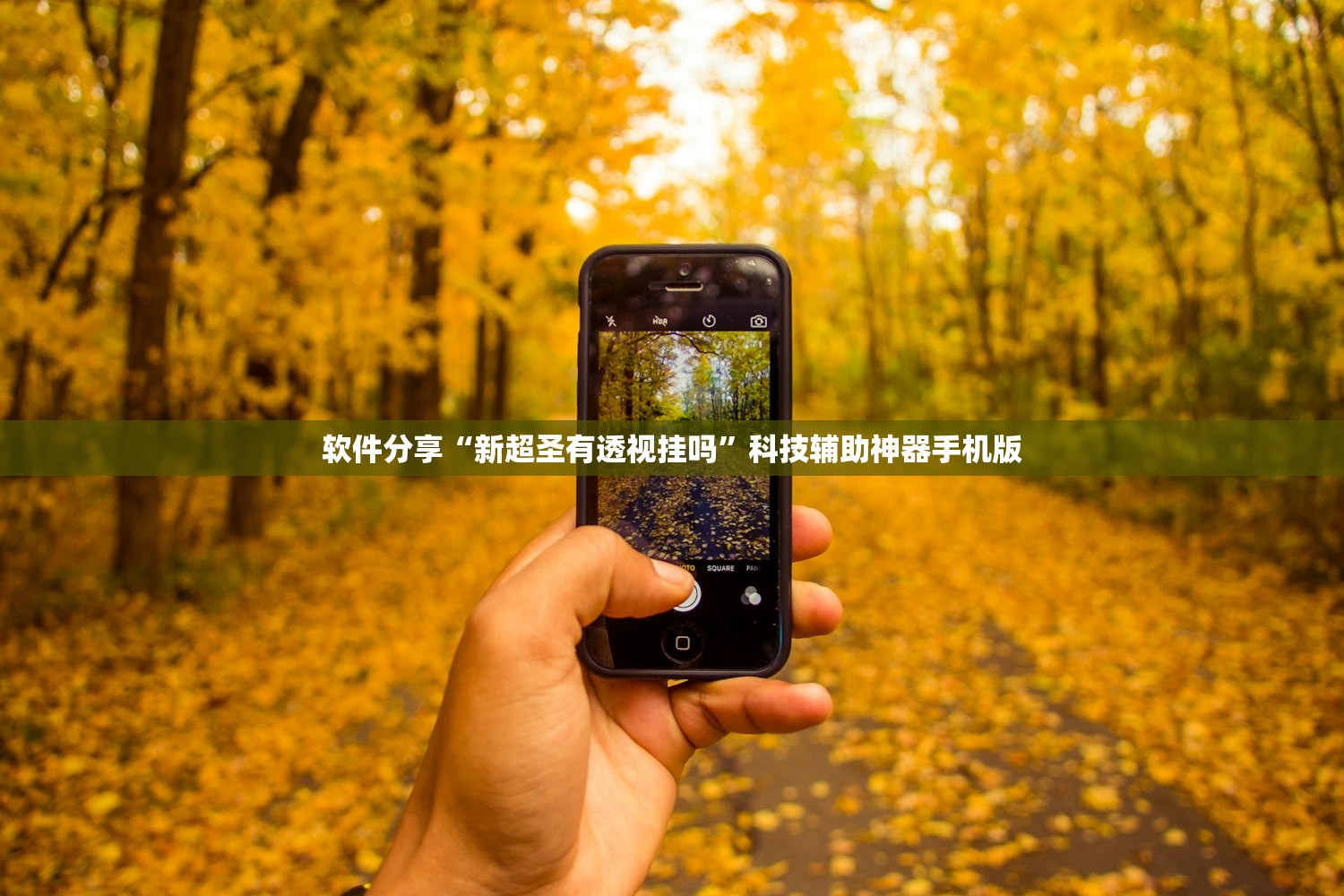 软件分享“新超圣有透视挂吗”科技辅助神器手机版