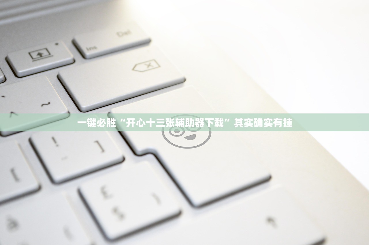 一键必胜“开心十三张辅助器下载	”其实确实有挂