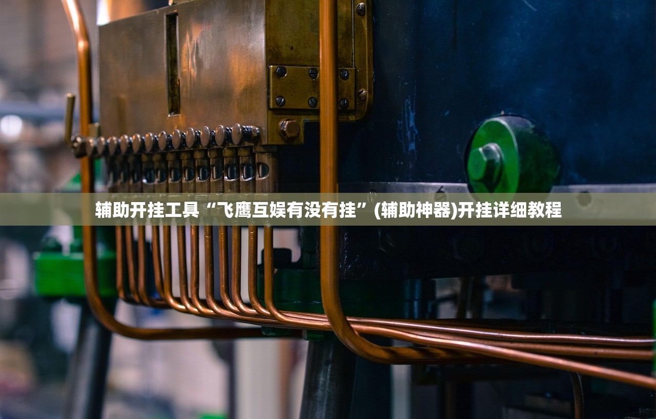 辅助开挂工具“飞鹰互娱有没有挂”(辅助神器)开挂详细教程