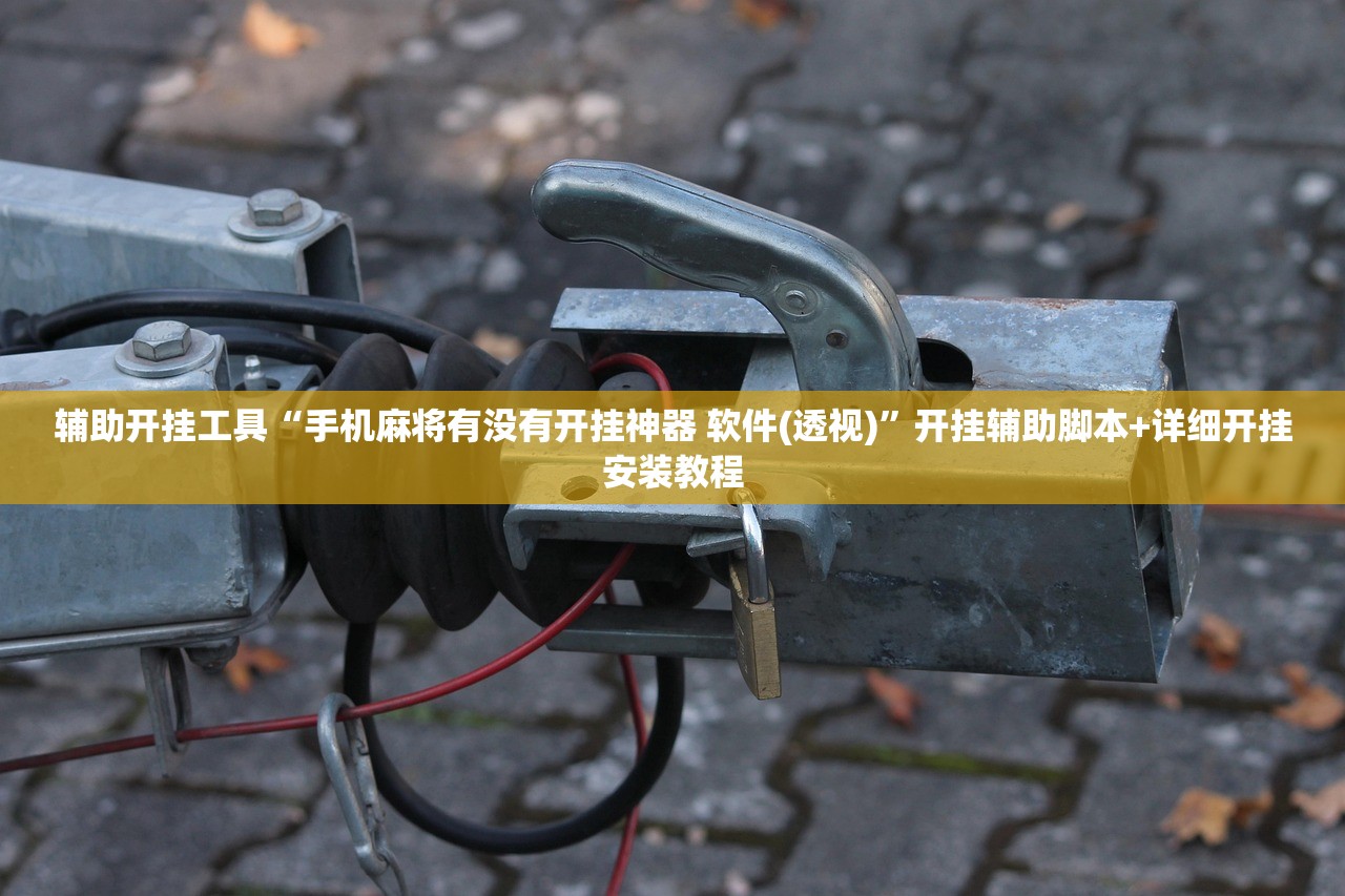 辅助开挂工具“手机麻将有没有开挂神器 软件(透视)	”开挂辅助脚本+详细开挂安装教程