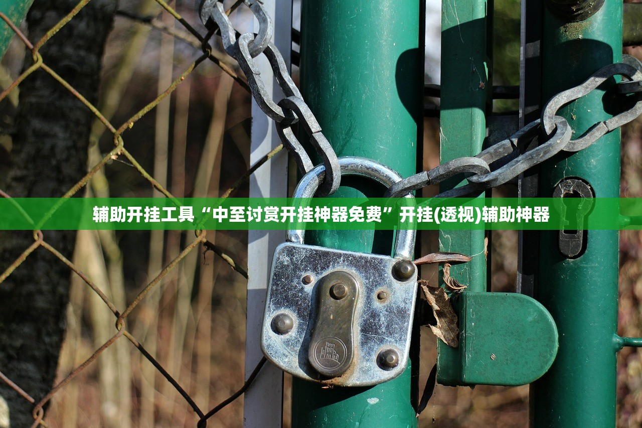 辅助开挂工具“中至讨赏开挂神器免费”开挂(透视)辅助神器