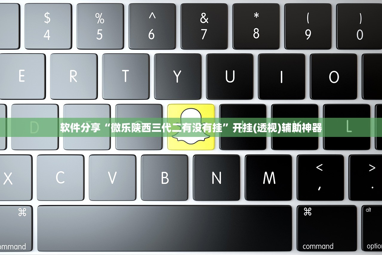 软件分享“微乐陕西三代二有没有挂”开挂(透视)辅助神器