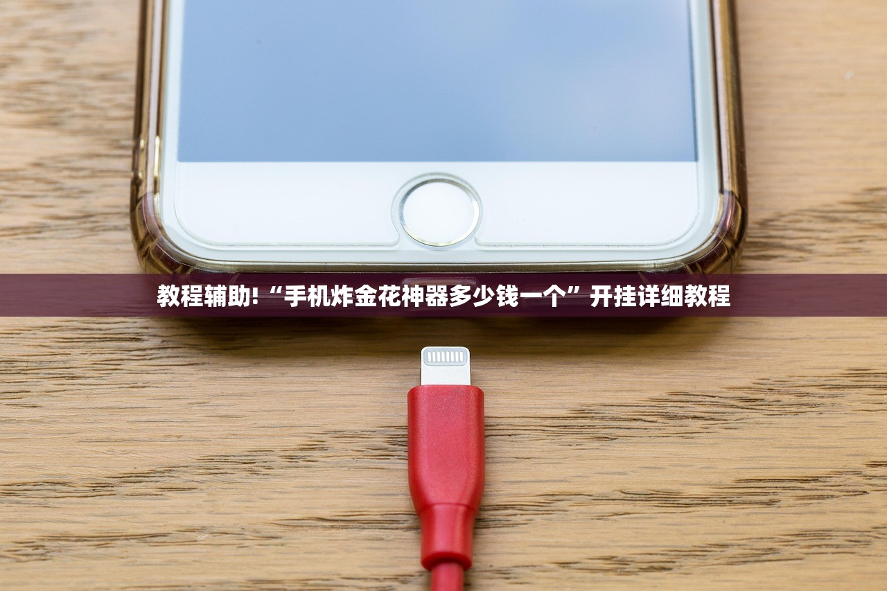 【天心区一室一厅毛坯房/天心区一室一厅毛坯房多少钱】