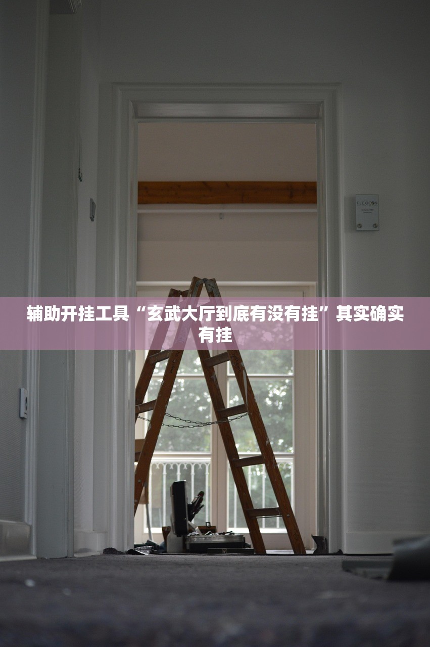 辅助开挂工具“玄武大厅到底有没有挂”其实确实有挂