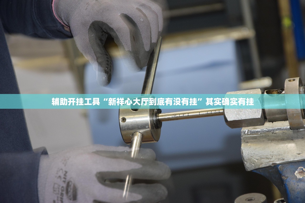 辅助开挂工具“新祥心大厅到底有没有挂”其实确实有挂