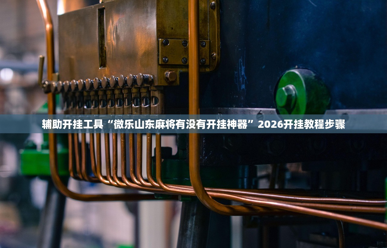 辅助开挂工具“微乐山东麻将有没有开挂神器”2026开挂教程步骤