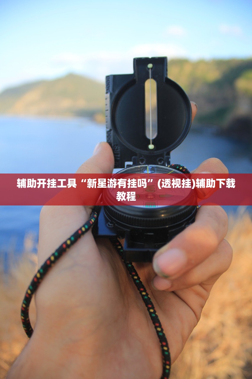 辅助开挂工具“新星游有挂吗”(透视挂)辅助下载教程