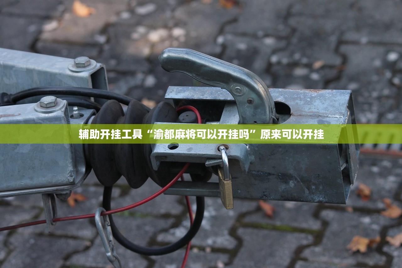 教程分享“好友跑得快有没有挂”开挂(透视)最新辅助详细
