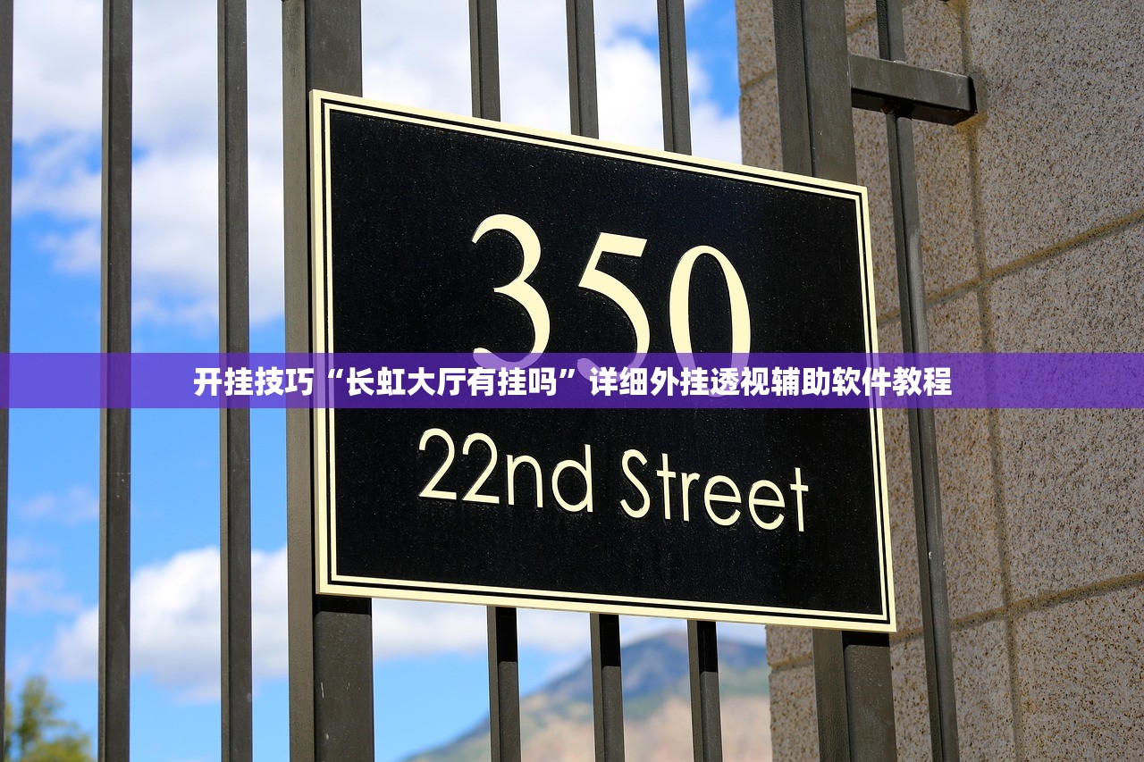 辅助神器“微乐保皇有没有挂”2026开挂教程步骤