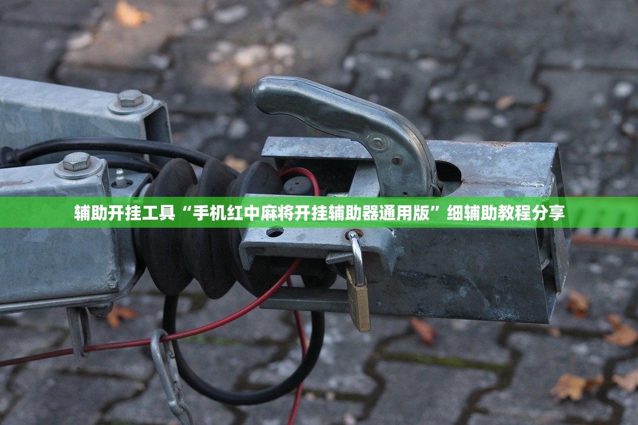 辅助开挂工具“手机红中麻将开挂辅助器通用版	”细辅助教程分享