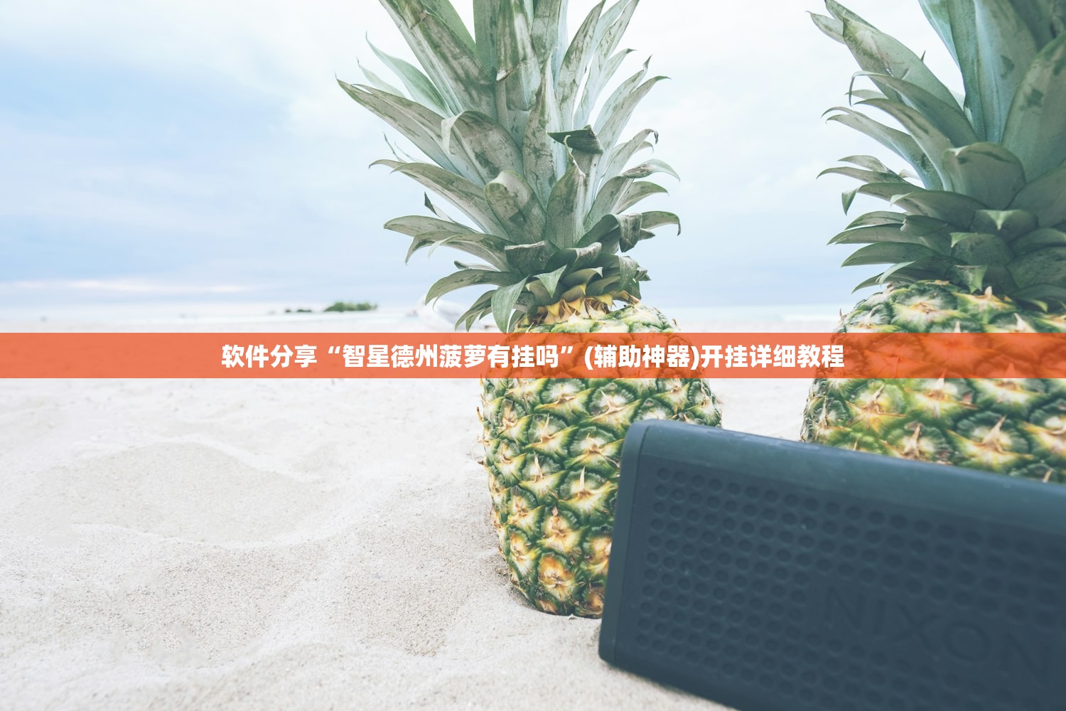 实测分享“小南长牌可以作弊吗”细辅助教程分享