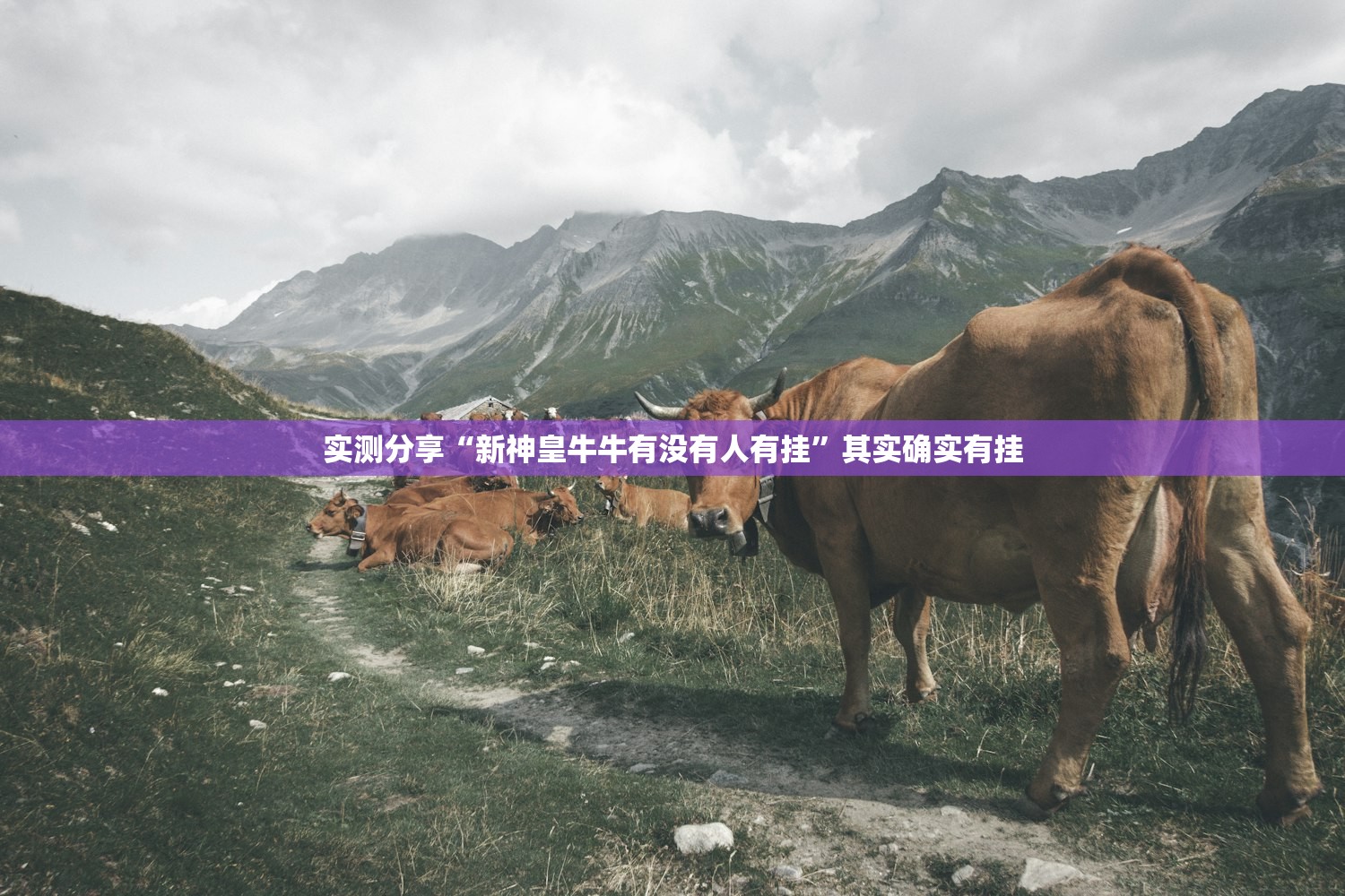 教程辅助!“微信小程序微乐掼蛋怎么开挂”(透视)其实确实有挂