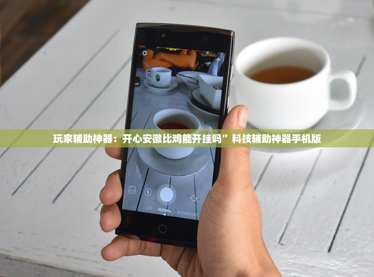 玩家辅助神器：开心安徽比鸡能开挂吗”科技辅助神器手机版