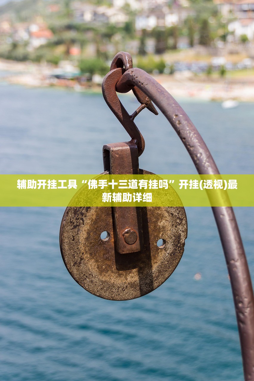 辅助开挂工具“佛手十三道有挂吗”开挂(透视)最新辅助详细