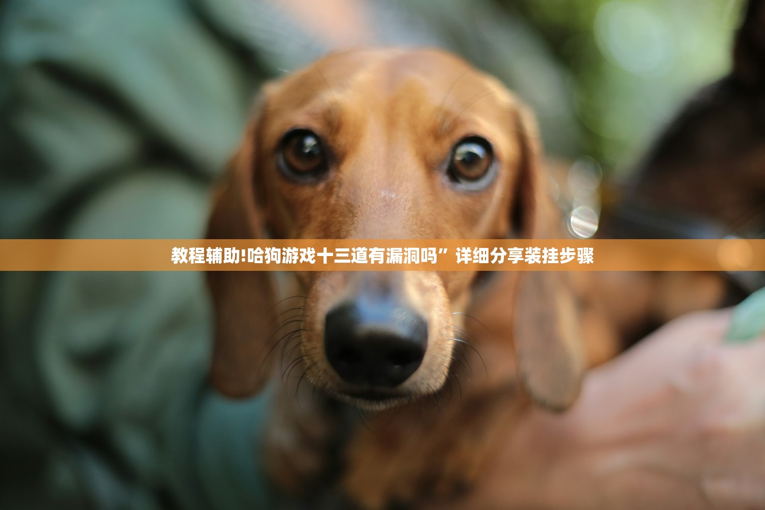 开挂技巧“手机十三水刷胜率”(透视)其实确实有挂