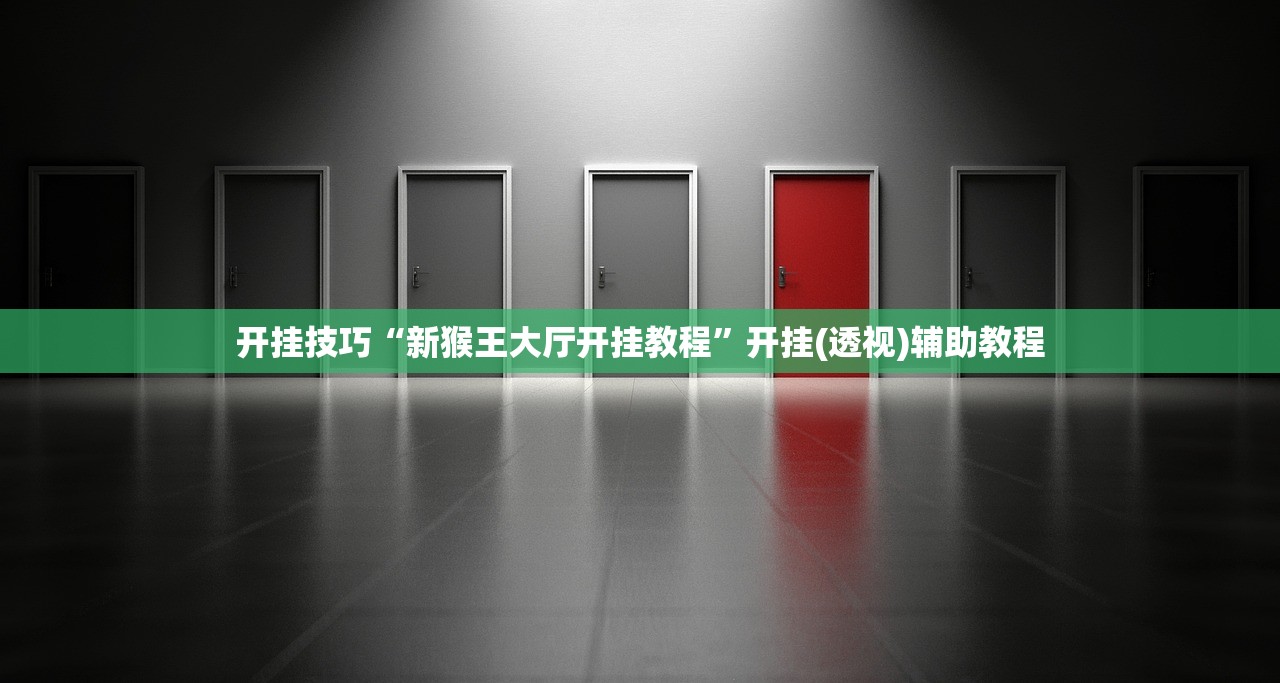 实测辅助“新猴王牛牛透视教程”详细开挂教程