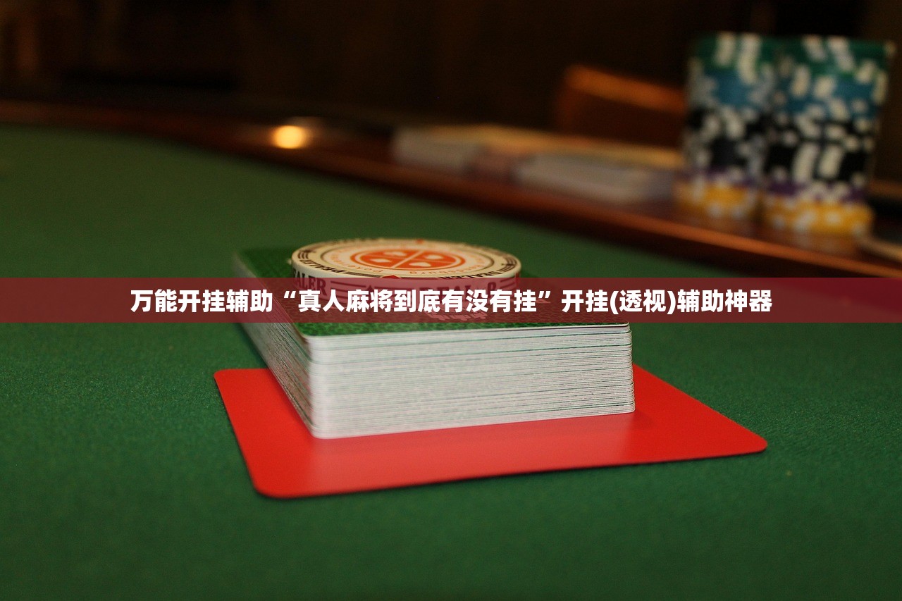 可用版本“家乡大贰透视开挂”开挂(透视)最新辅助详细