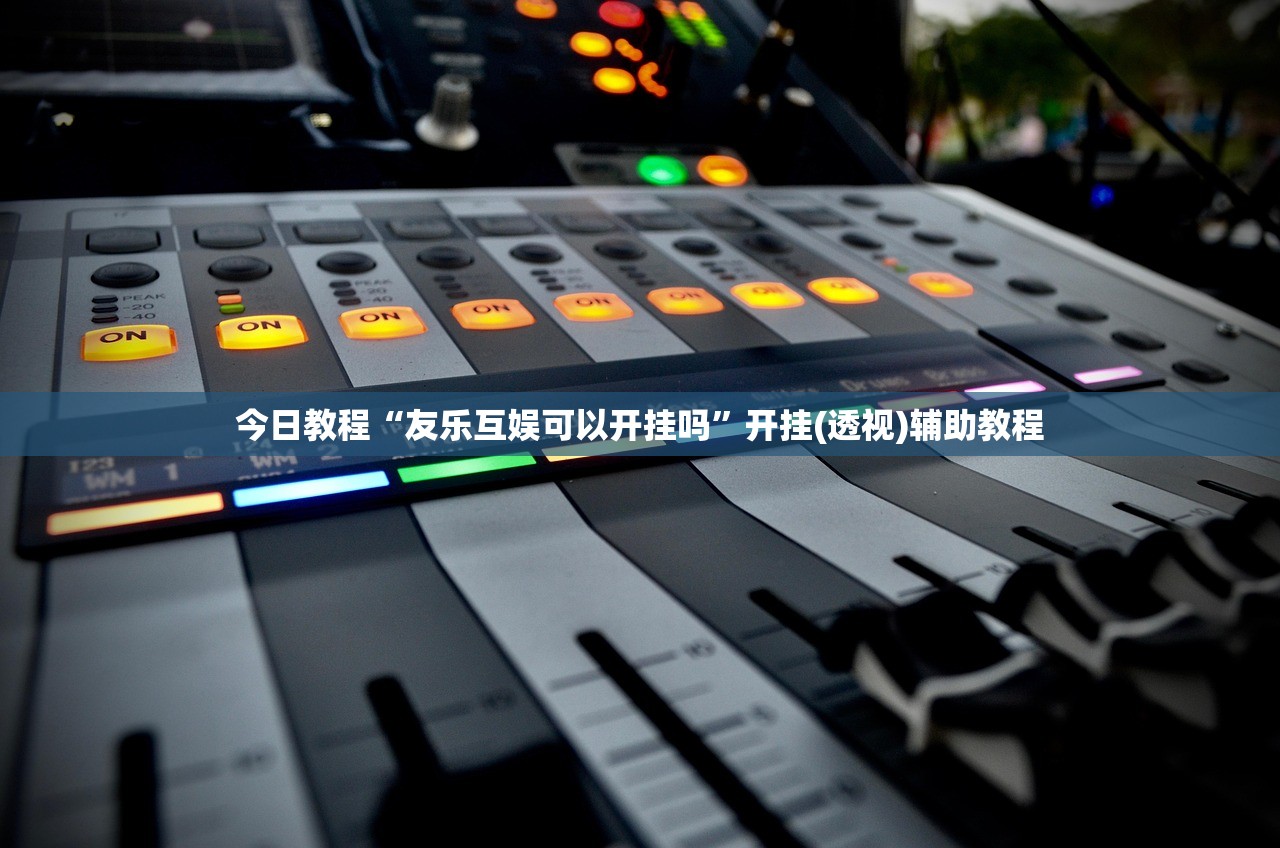 今日教程“友乐互娱可以开挂吗	”开挂(透视)辅助教程