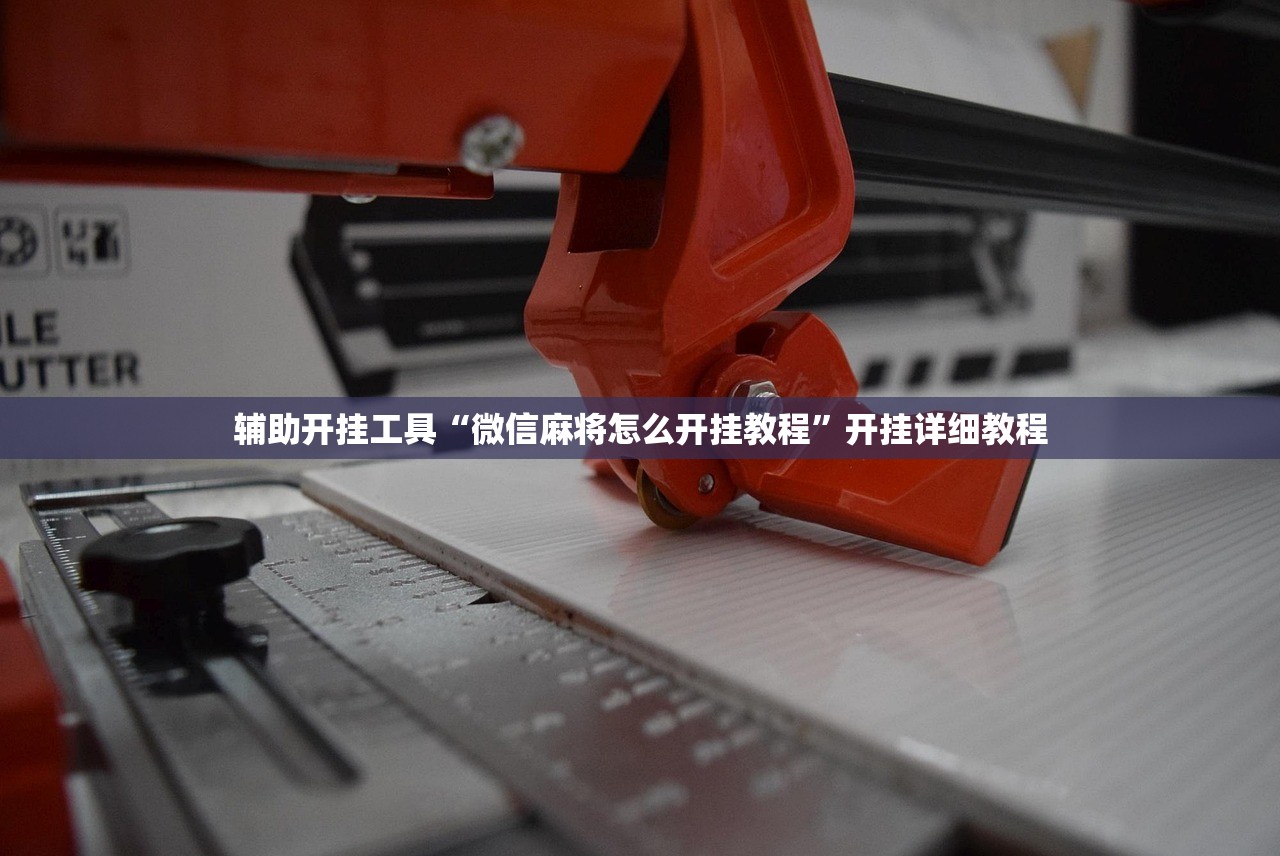 辅助开挂工具“微信麻将怎么开挂教程	”开挂详细教程