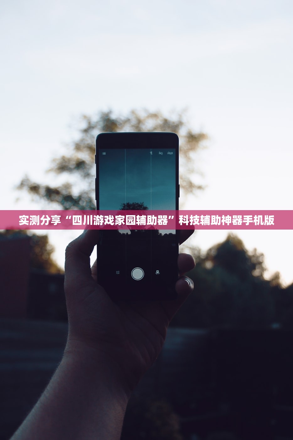 【古墓丽影怎么调中文,古墓丽影怎么调中文模式】