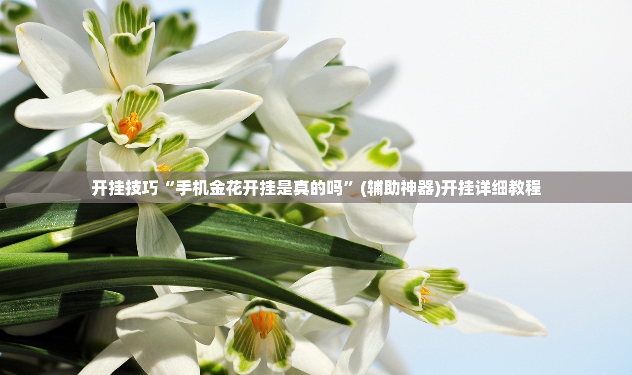 助赢神器“洋洋挖花软件辅助”(免费)开挂辅助教学(最新辅助开挂教程)