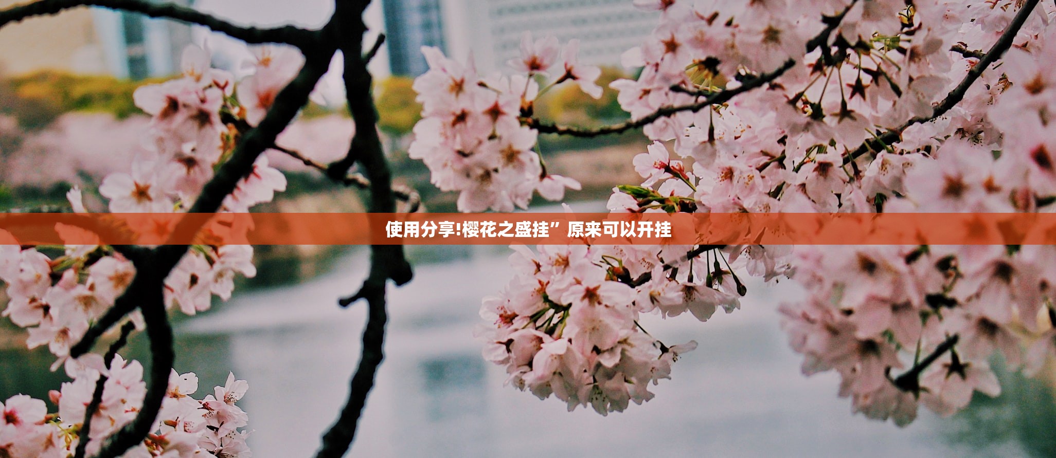 一键必胜“微信小程序微乐麻将必赢神器软件(透视)”开挂辅助脚本+详细开挂安装教程