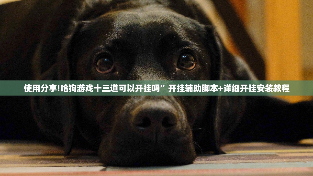 可用版本“中至鹰潭麻将万能开挂神器”详细分享装挂步骤