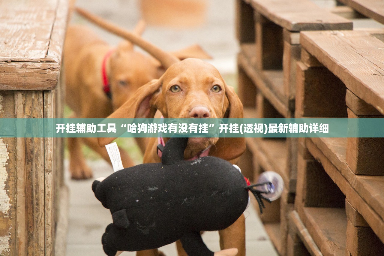 北京新增17例确诊/北京新增确诊17例视频