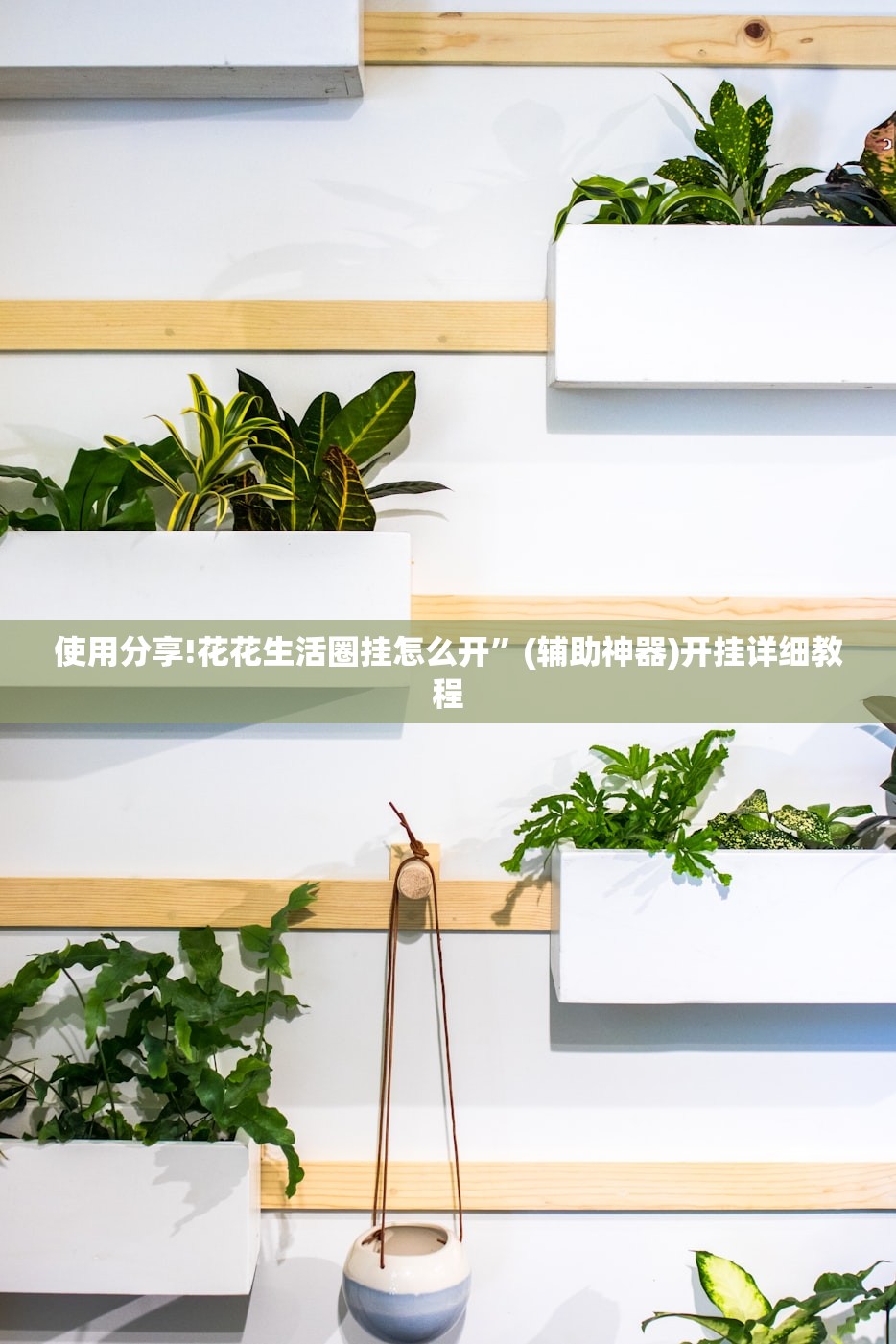 使用分享!花花生活圈挂怎么开”(辅助神器)开挂详细教程