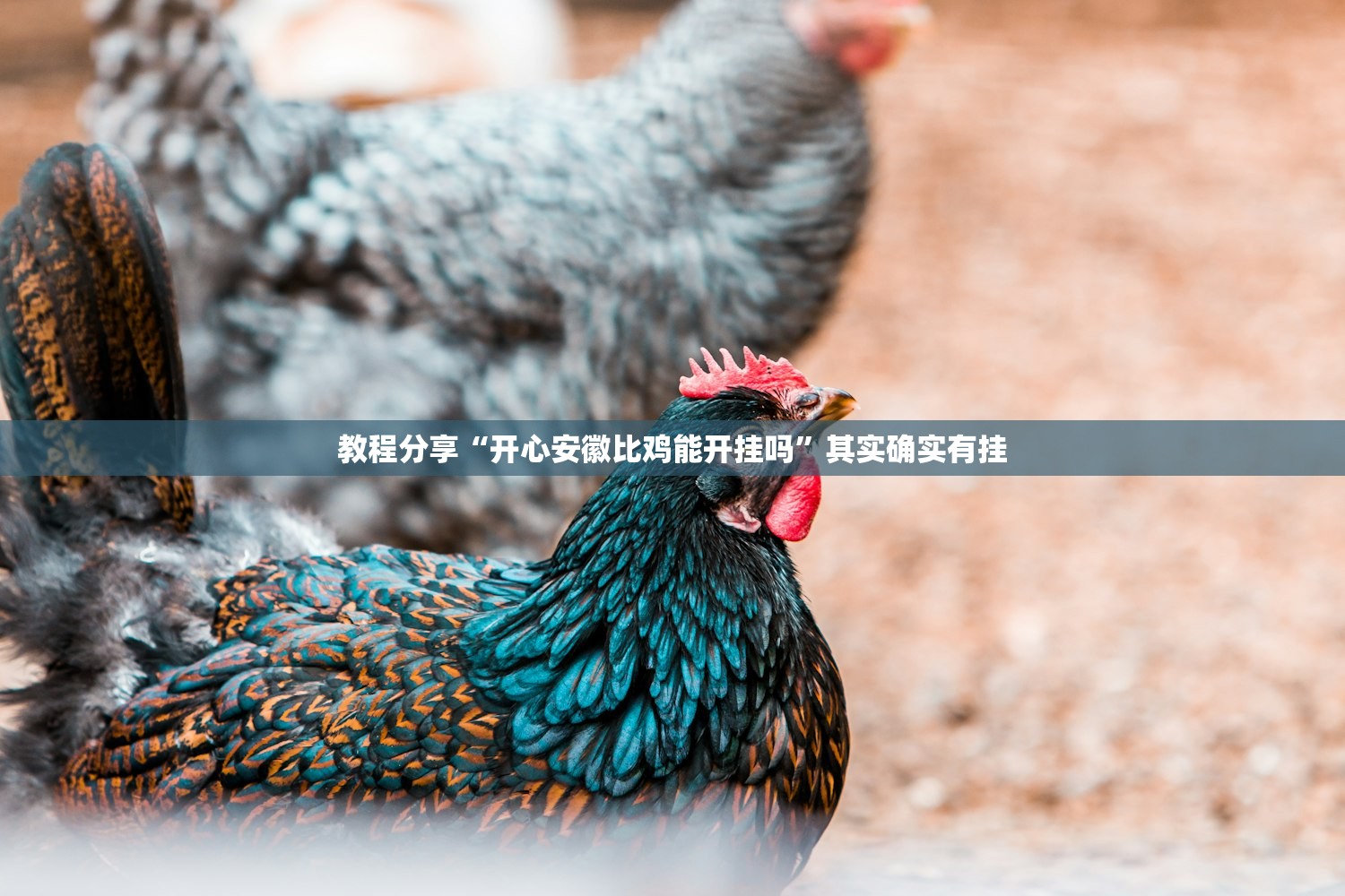 苍南疫情最新消息/苍南疫情最新消息今天