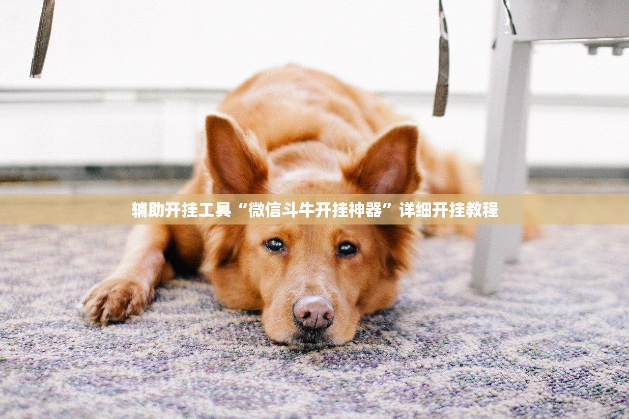 5万左右皮卡车新款/5万以下的皮卡车大全