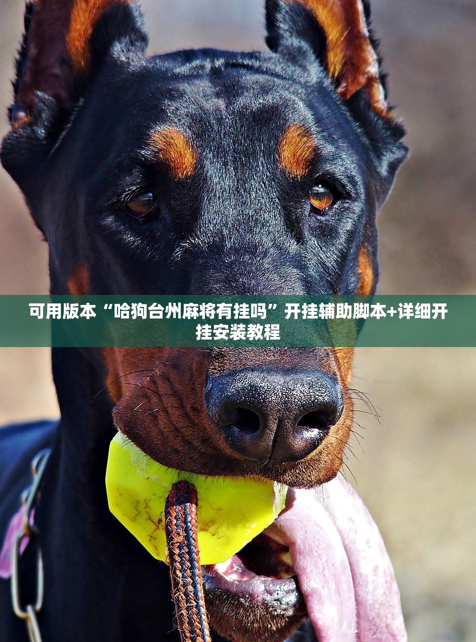 可用版本“哈狗台州麻将有挂吗”开挂辅助脚本+详细开挂安装教程