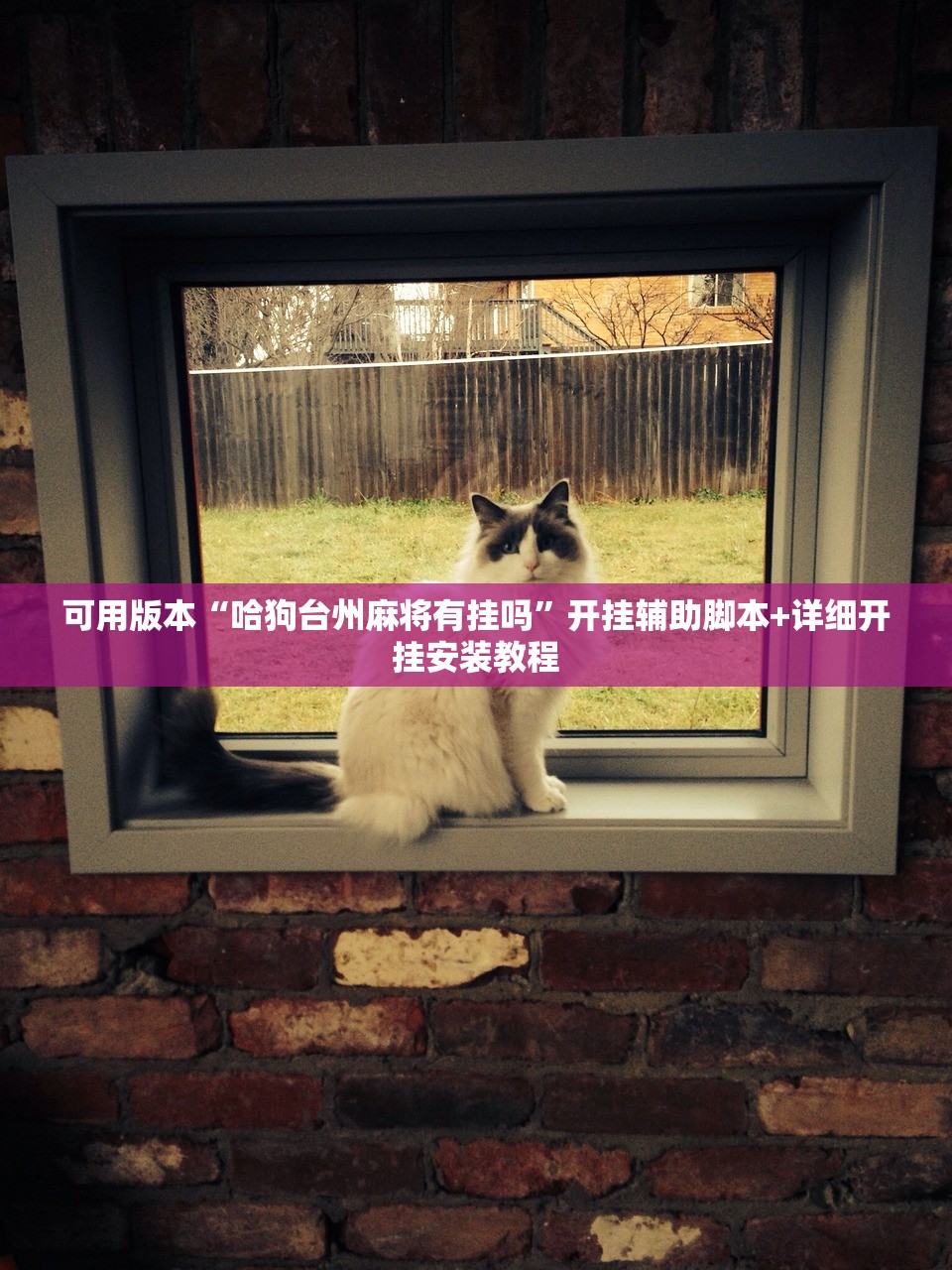 可用版本“哈狗台州麻将有挂吗	”开挂辅助脚本+详细开挂安装教程