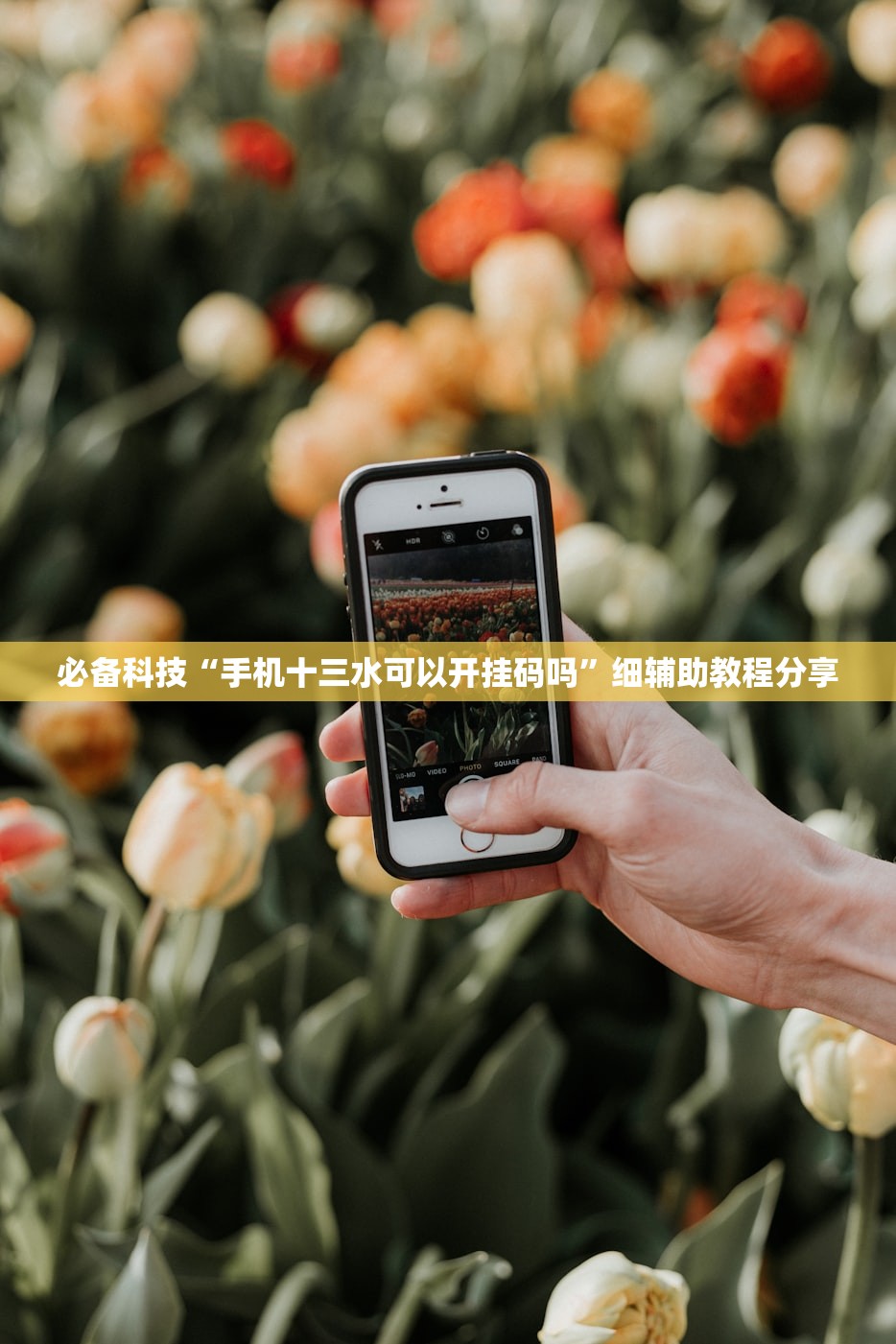 必备科技“手机十三水可以开挂码吗	”细辅助教程分享