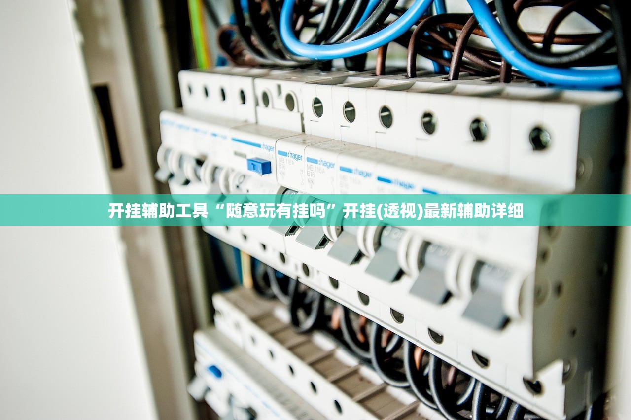 开挂辅助工具“随意玩有挂吗”开挂(透视)最新辅助详细