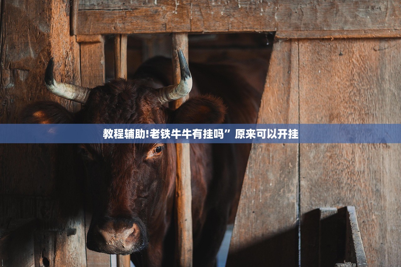 教程辅助!老铁牛牛有挂吗	”原来可以开挂