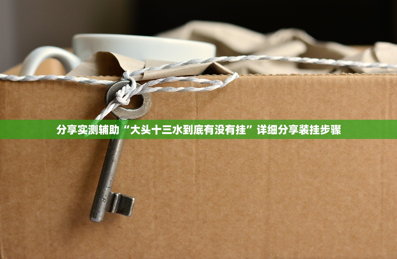 分享实测辅助“大头十三水到底有没有挂”详细分享装挂步骤