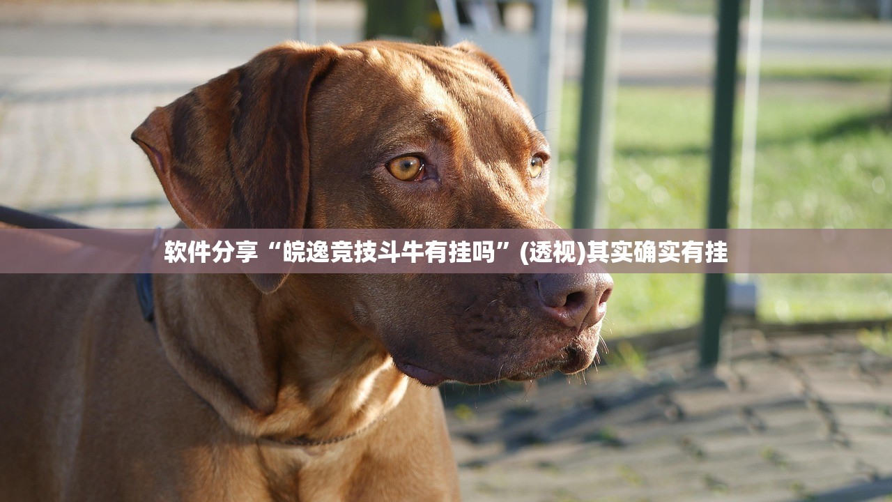 31省区市新增12例境外输入病例:31省区市新增境外输入病例22例