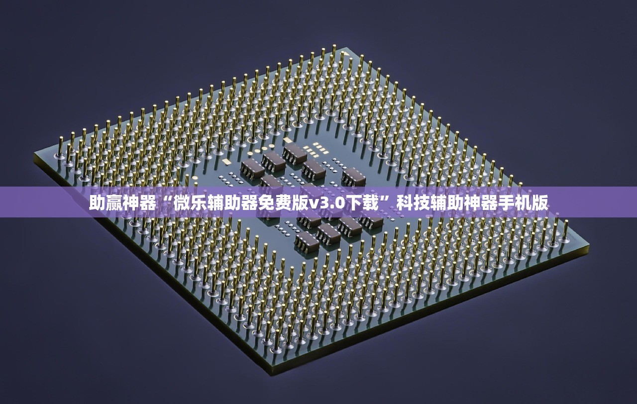 助赢神器“微乐辅助器免费版v3.0下载”科技辅助神器手机版