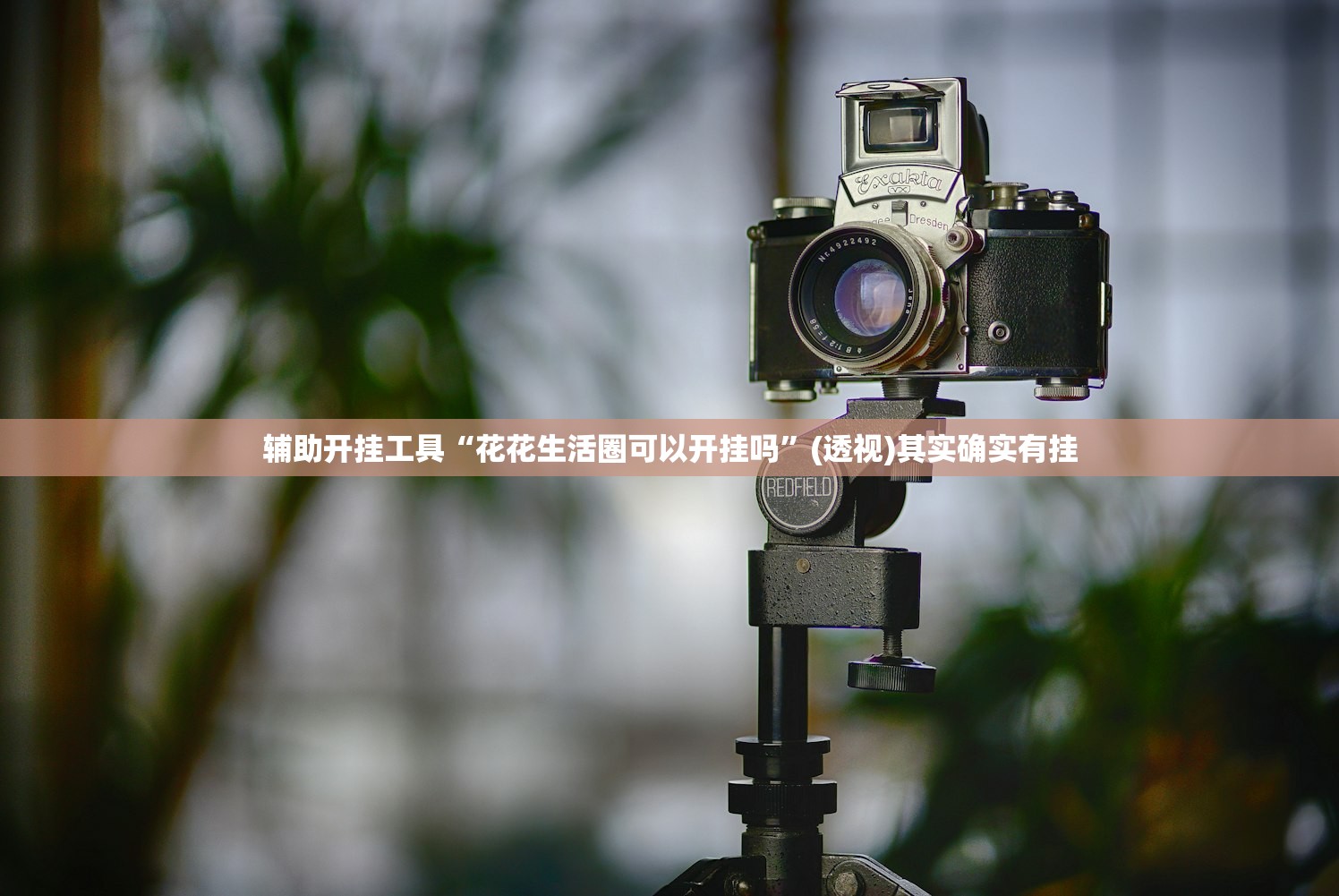 辅助开挂工具“花花生活圈可以开挂吗”(透视)其实确实有挂